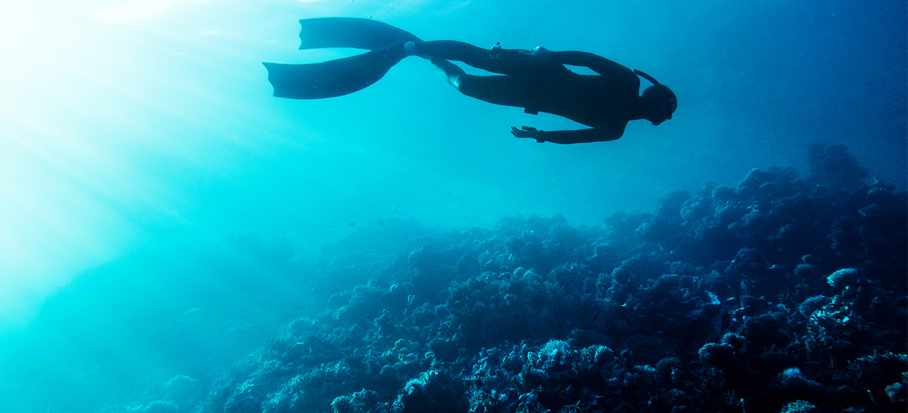 What is the Best Depth for Spearfishing?