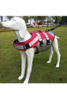 WCC Dog\'s Reflective Buoyant Adjustable Swimming Life Jacket