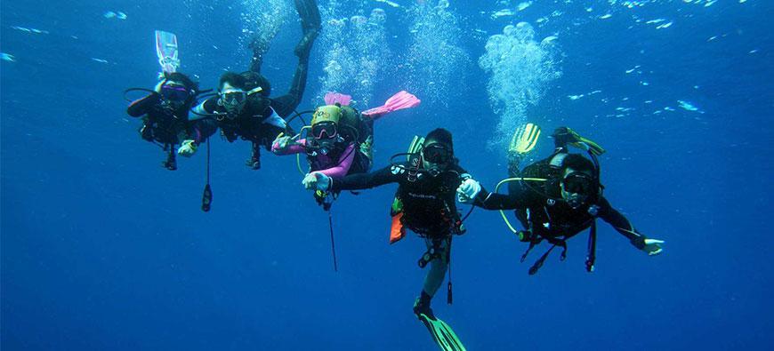 A List of Scuba Diving Essentials: the Gear You Will Need