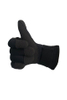 DIVERSTAR Kevlar 3MM Black Diving Gloves