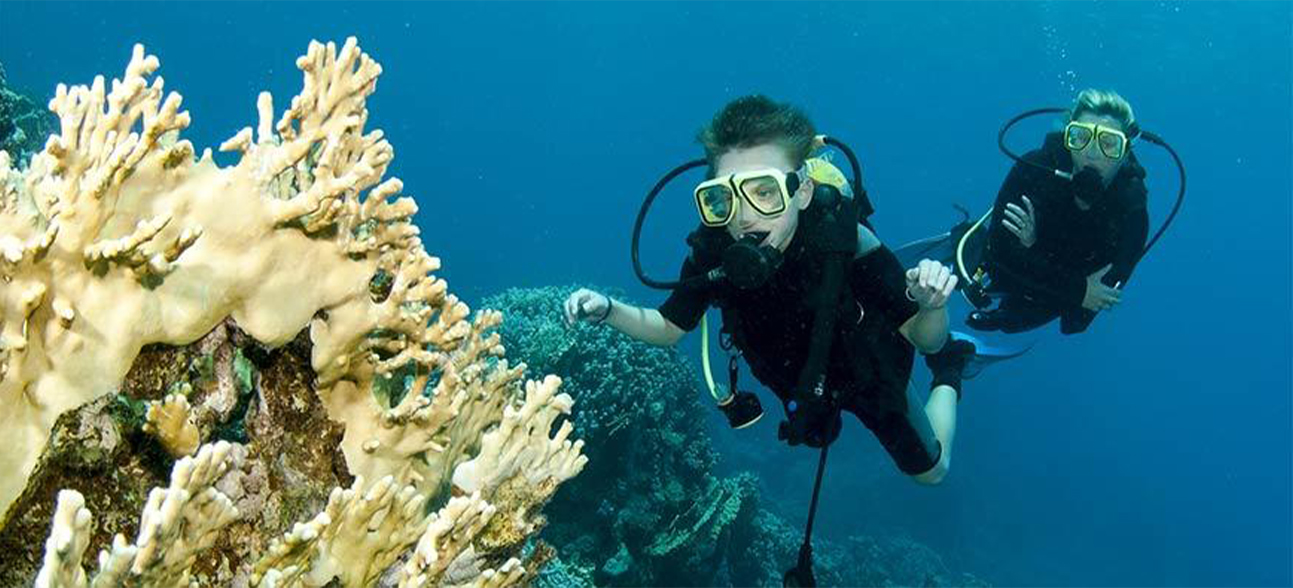 What Is Scuba Diving? Basics Your Need to Know