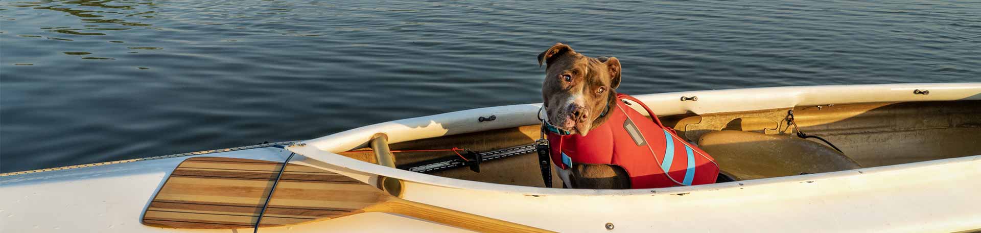dog-life-jackets-collection